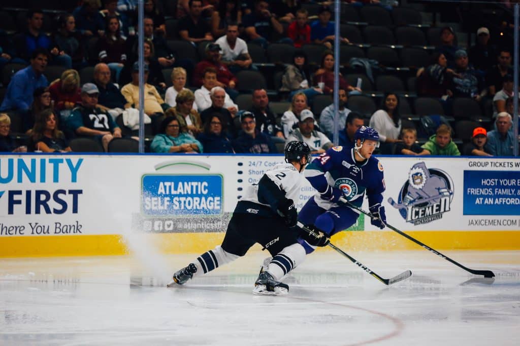 Two ice hockey players playing on the rink