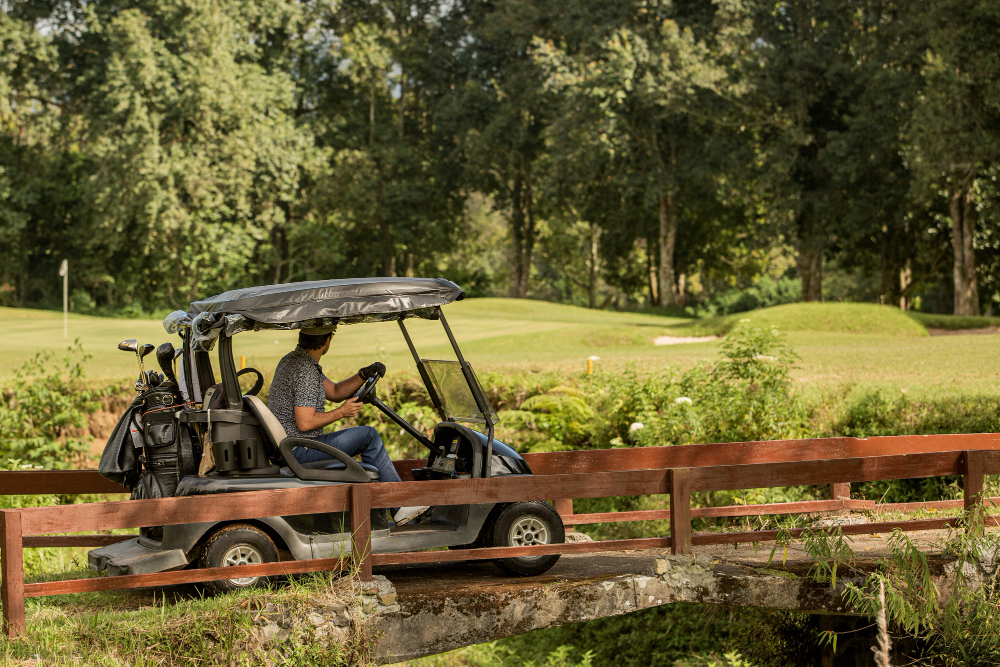 professional-golfer-on a golf cart