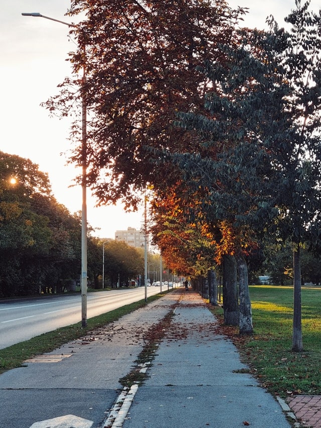 Image of a sidewalk next to a park