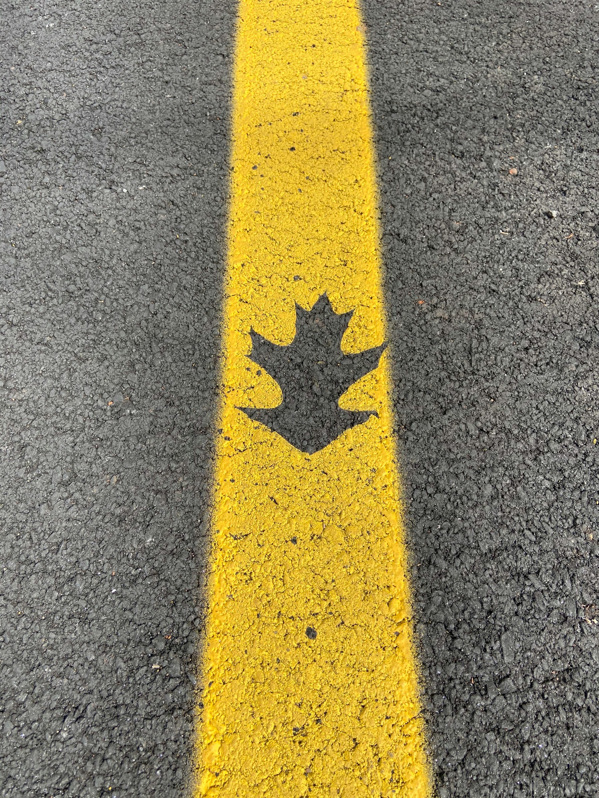 A leaf masked a freshly painted yellow line on the smooth black asphalt.