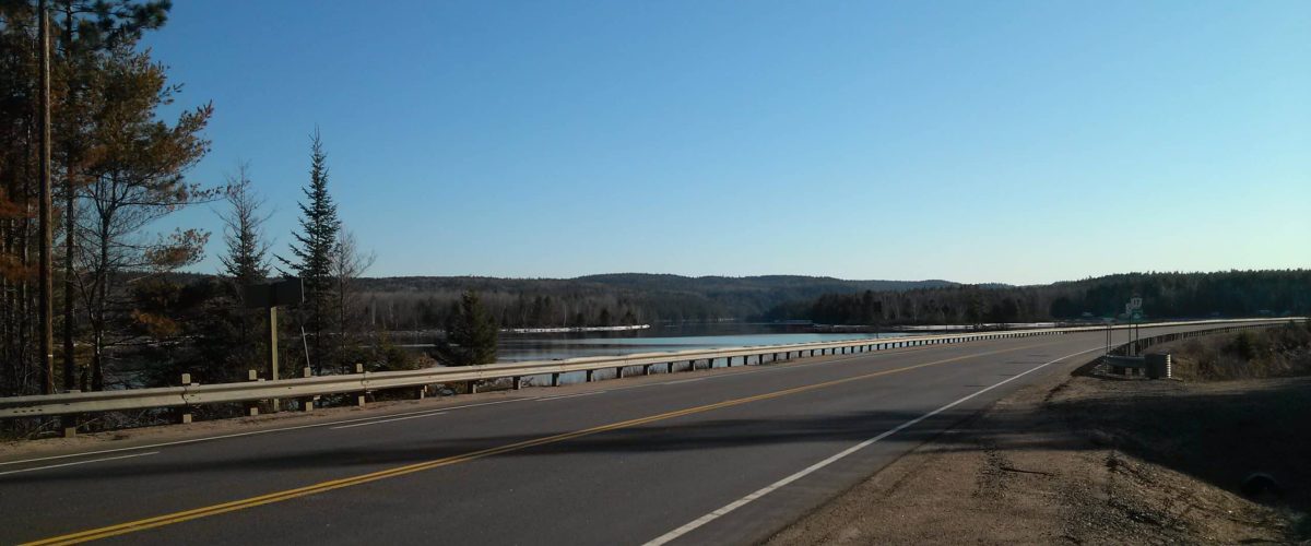 Highway and tree