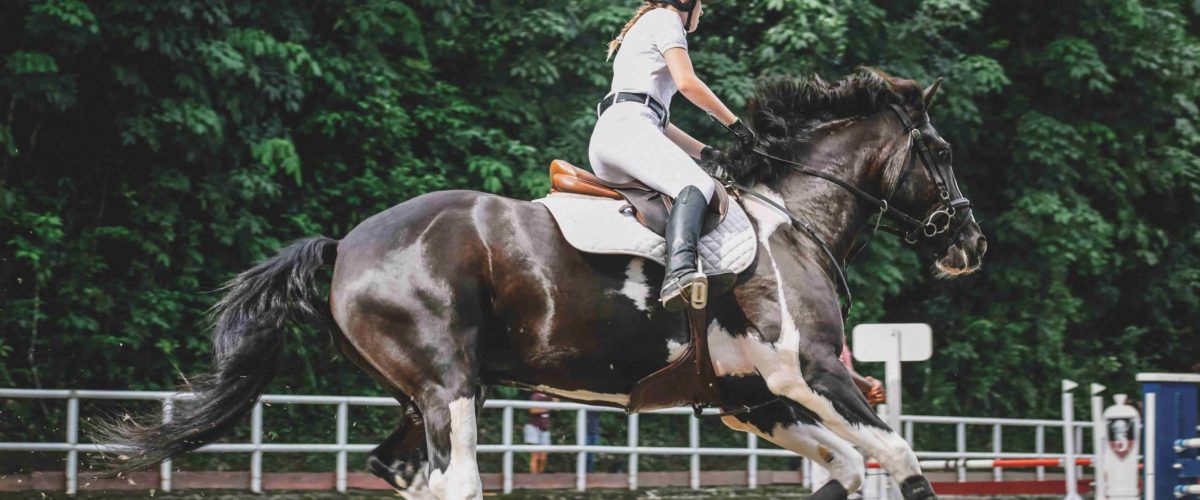 a women riding on a horse